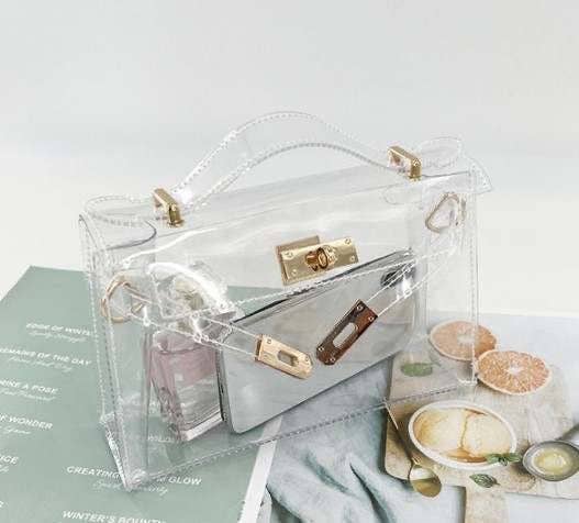 The Mini Andrea Clear Bag