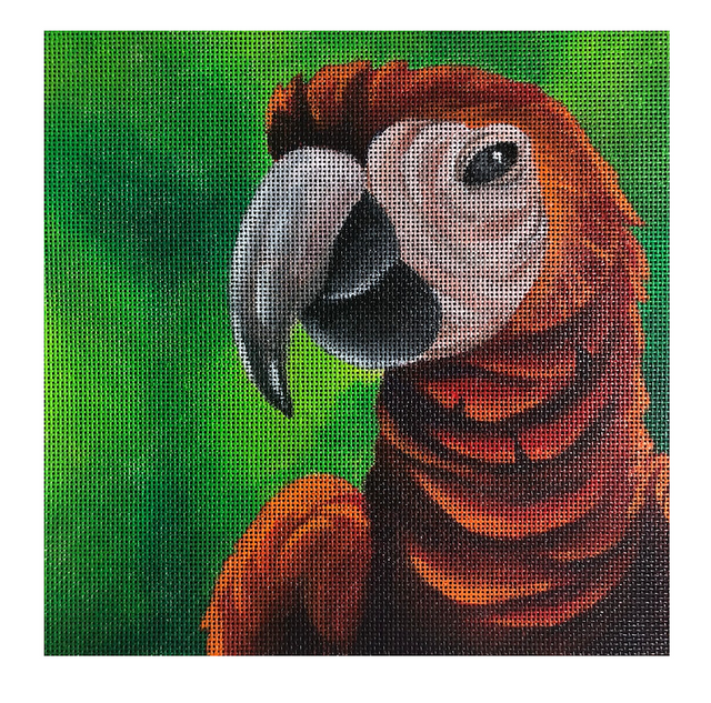 Rick the Red Parrot