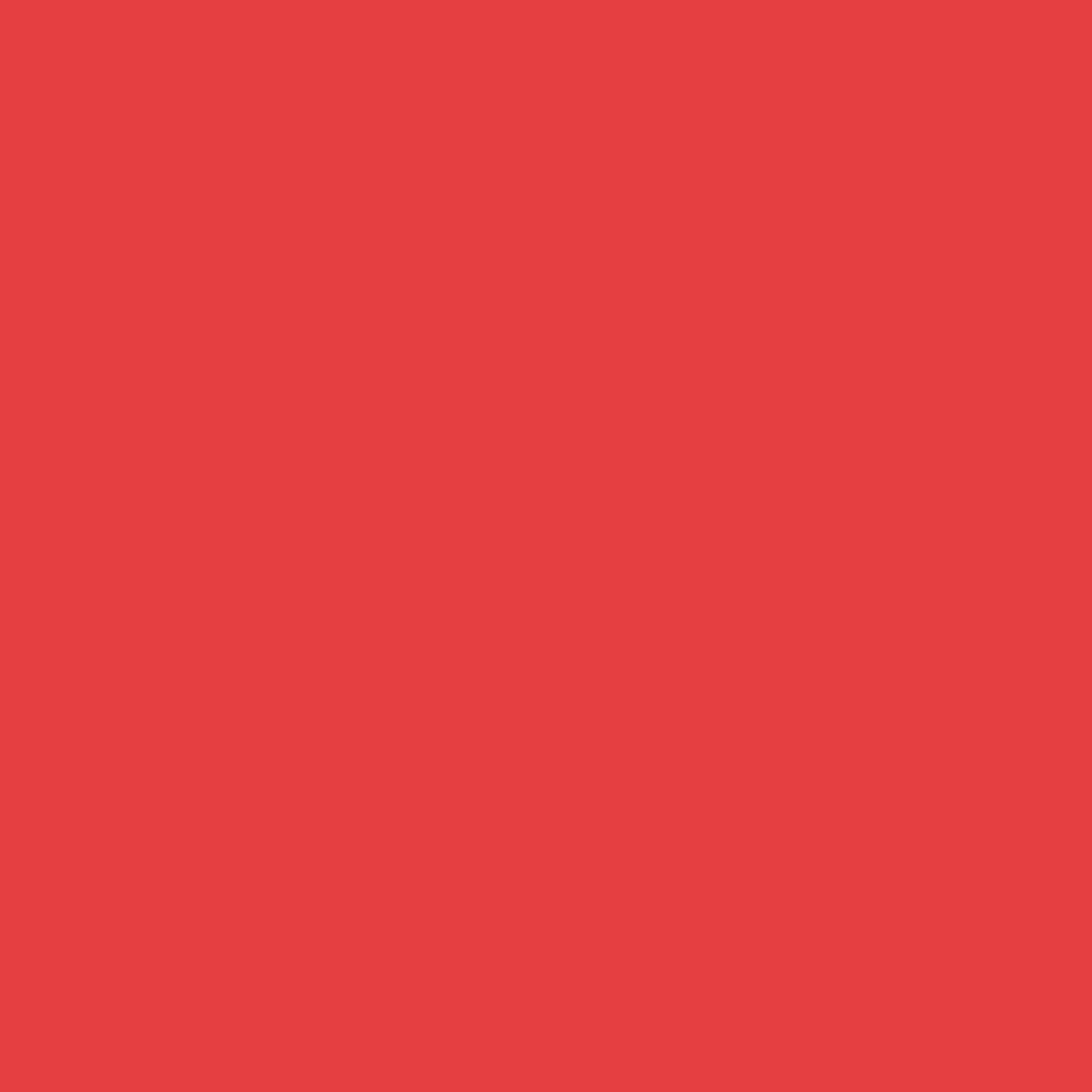 Clear Zip Pouch Bundle (x3 sizes) – Red