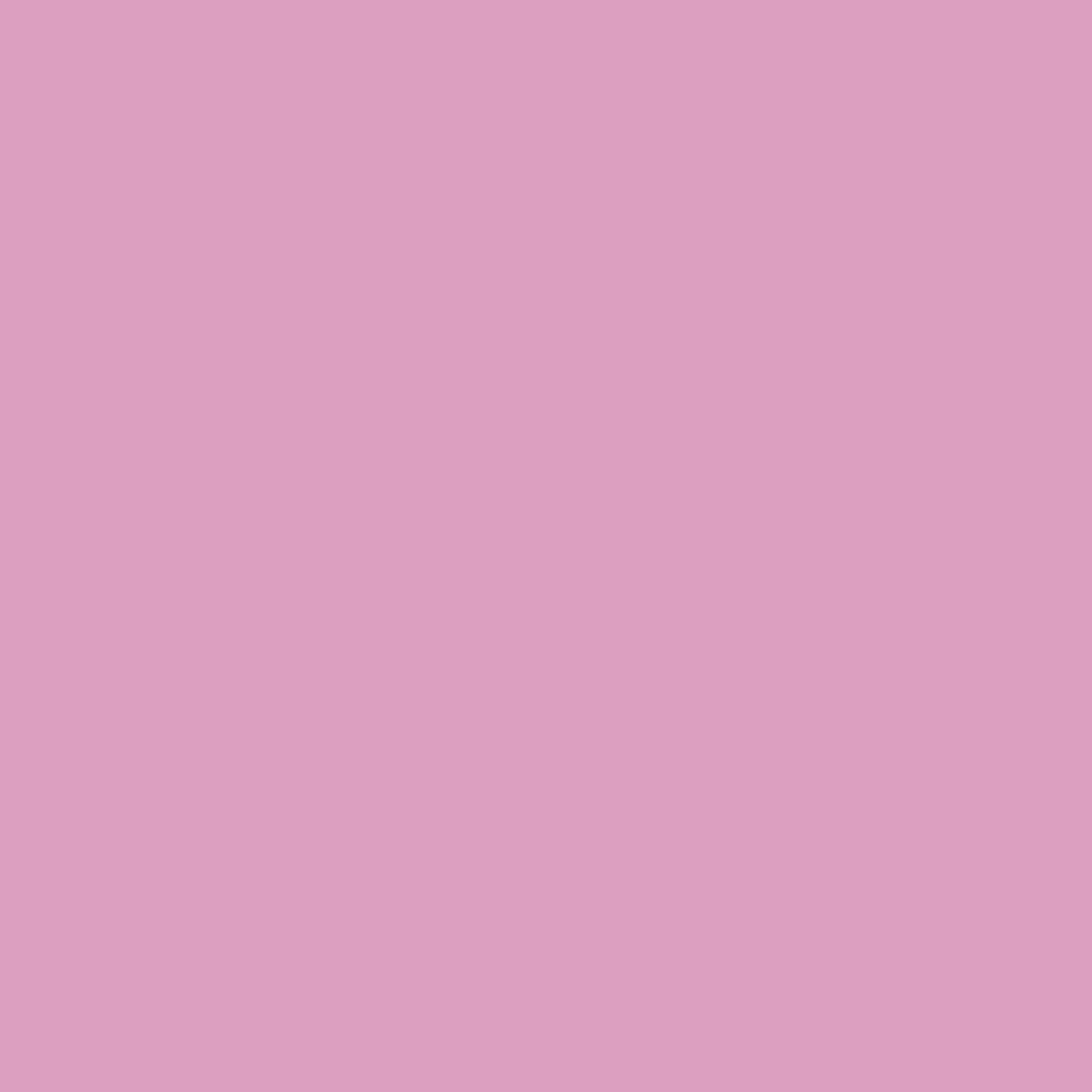 Clear Zip Pouch Bundle (x3 sizes) – Pink
