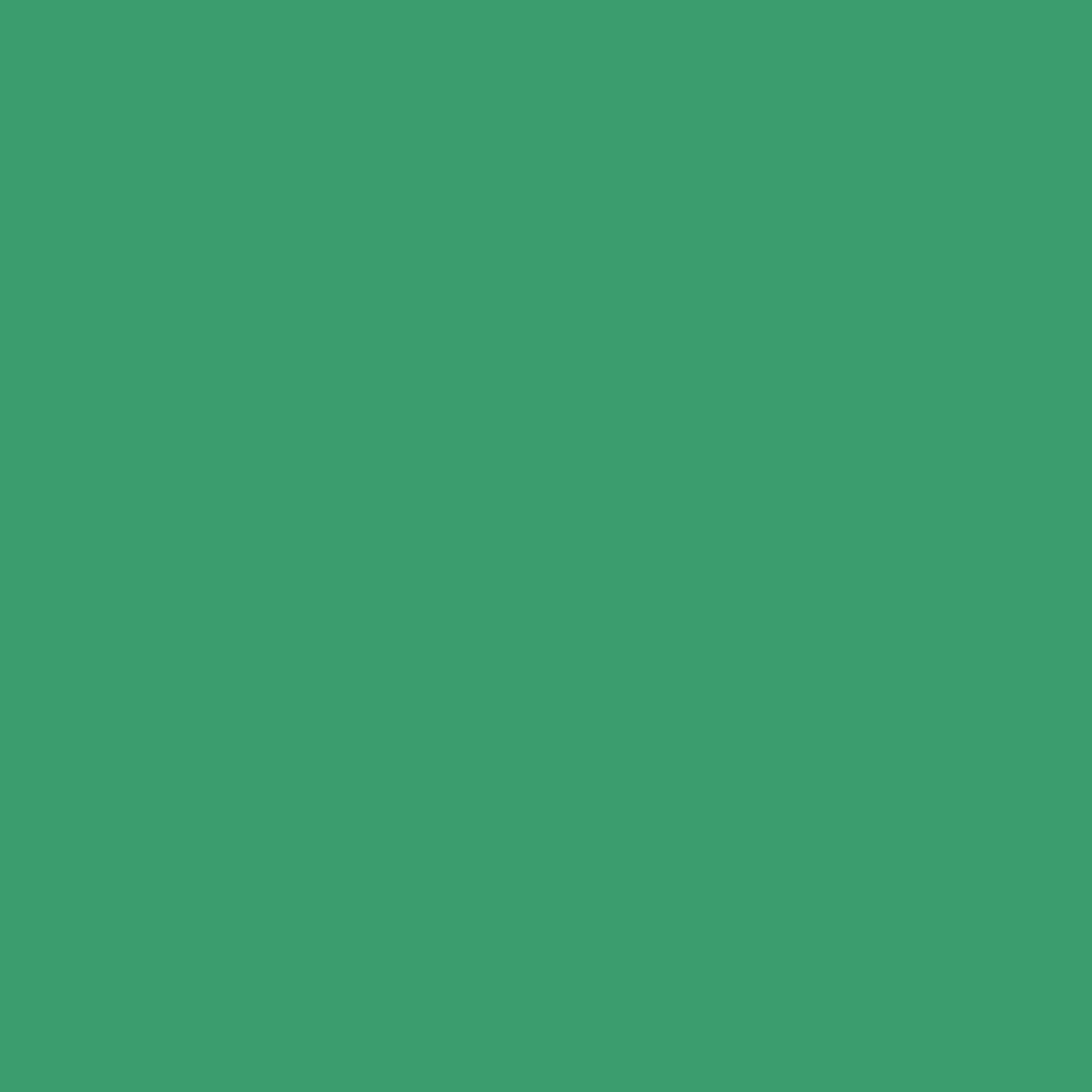 Clear Zip Pouch Bundle (x3 sizes) – Green