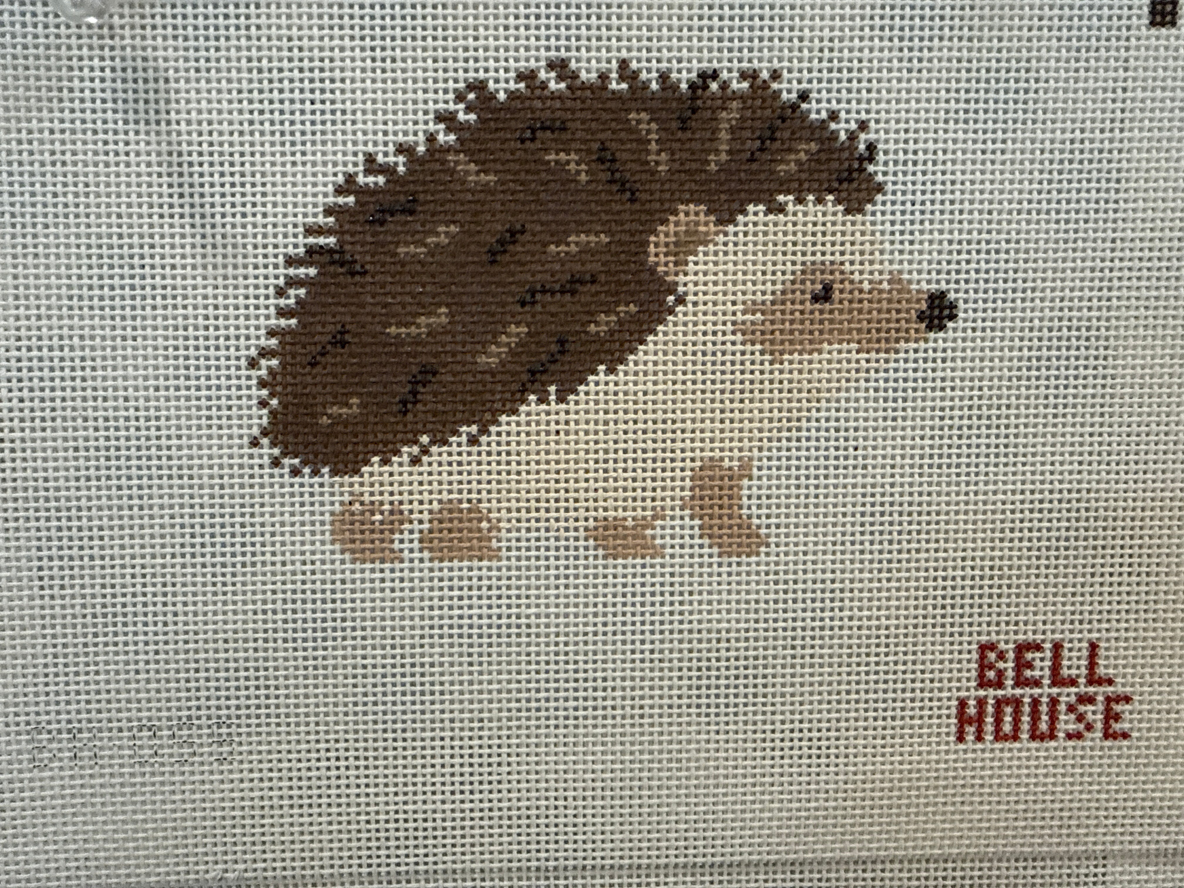 Hedgehog Canvas