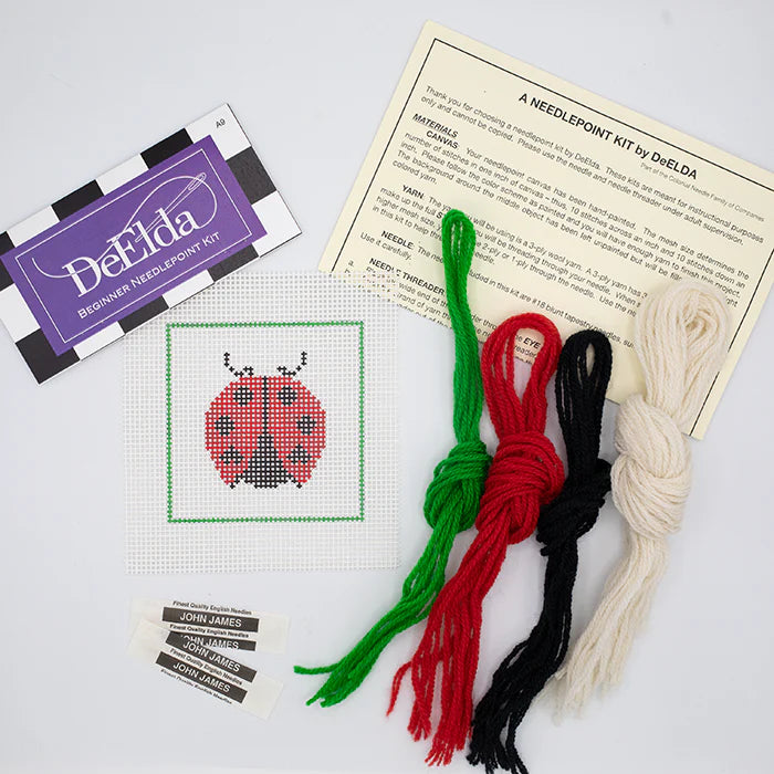 Ladybug Beginner Kit