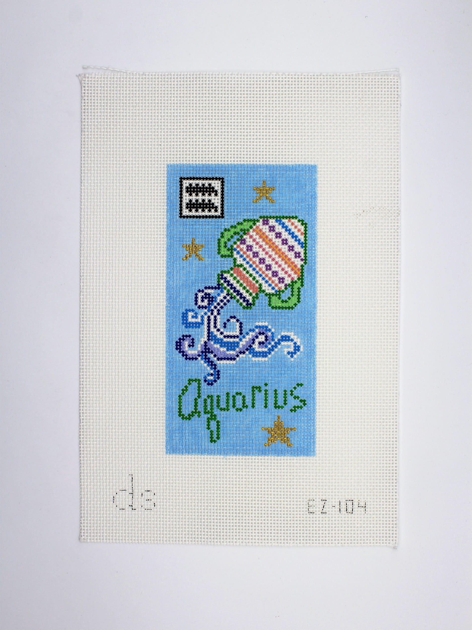 Aquarius Zodiac Eyeclass Canvas