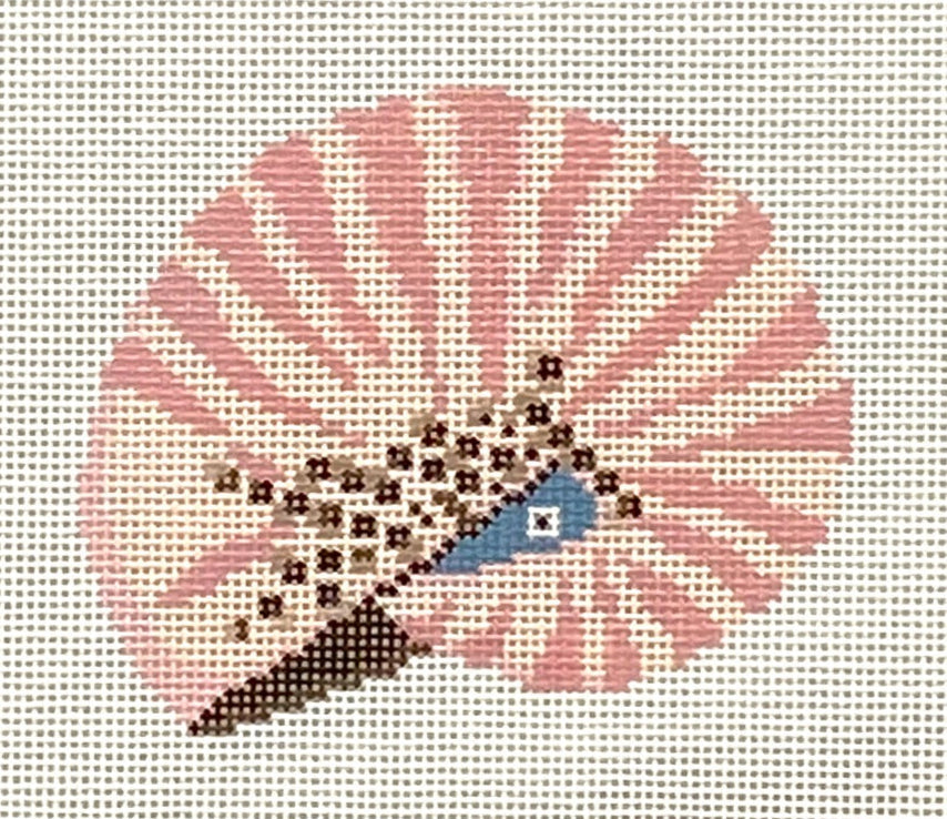 Baby's Ear Shell Canvas