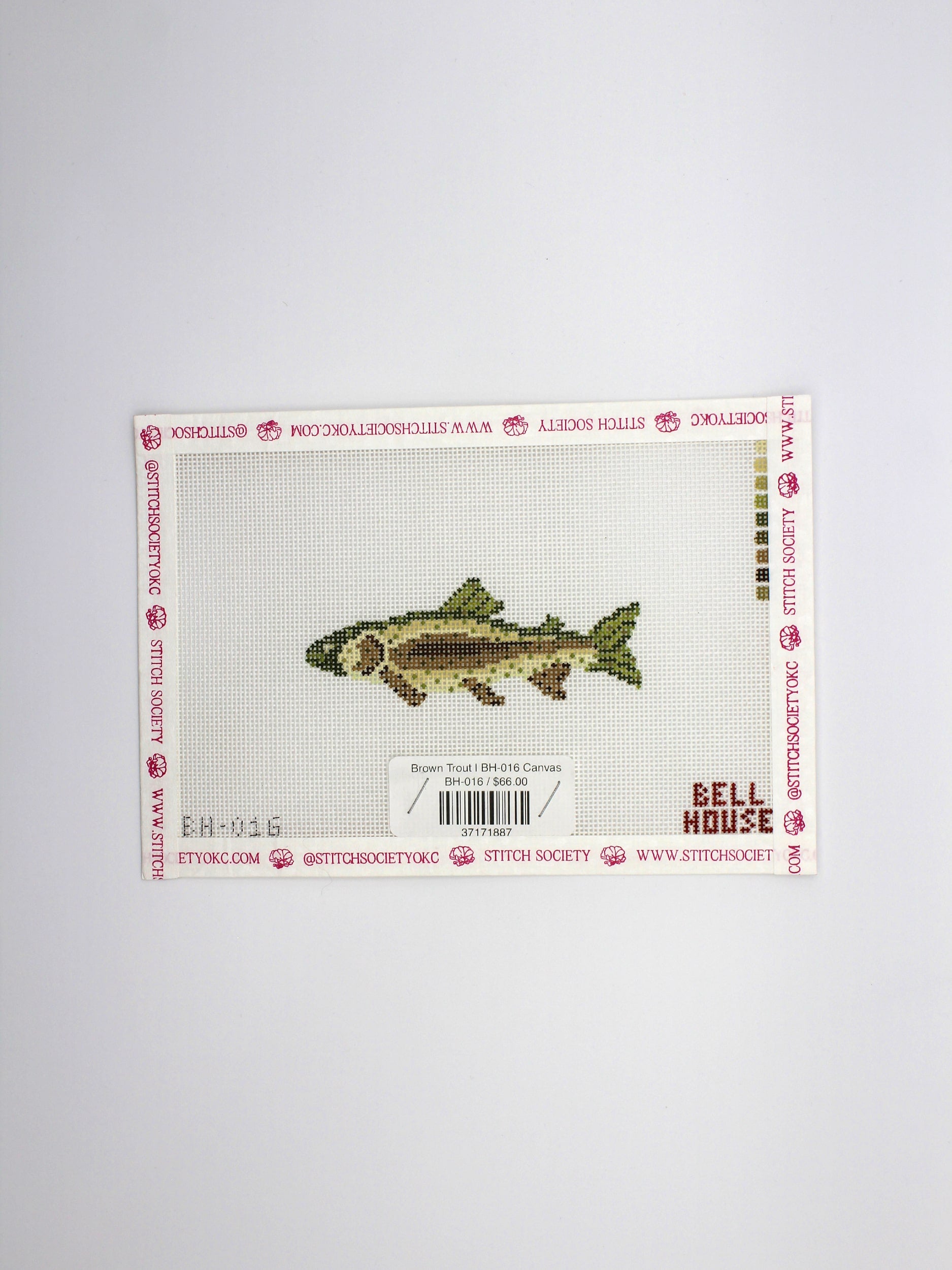 Brown Trout | BH-016 Canvas