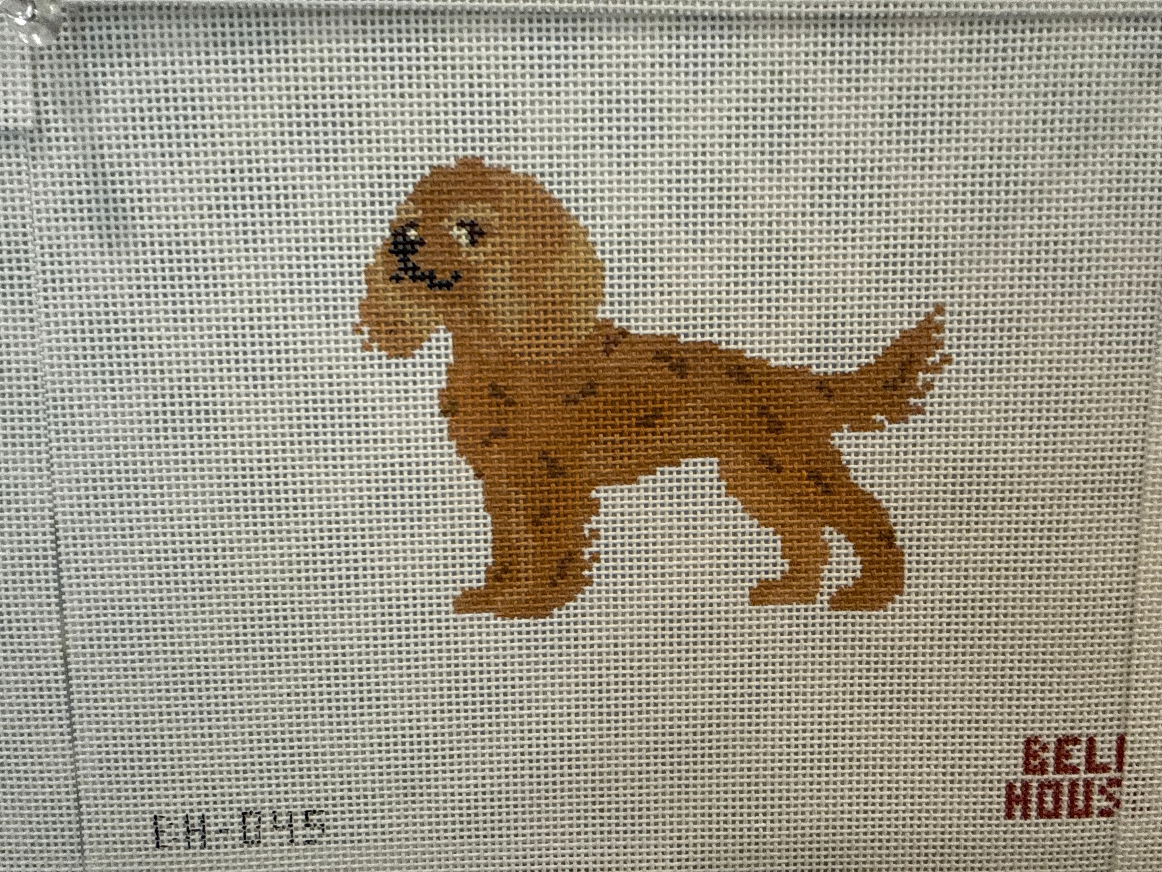 Cavalier - Ruby Canvas
