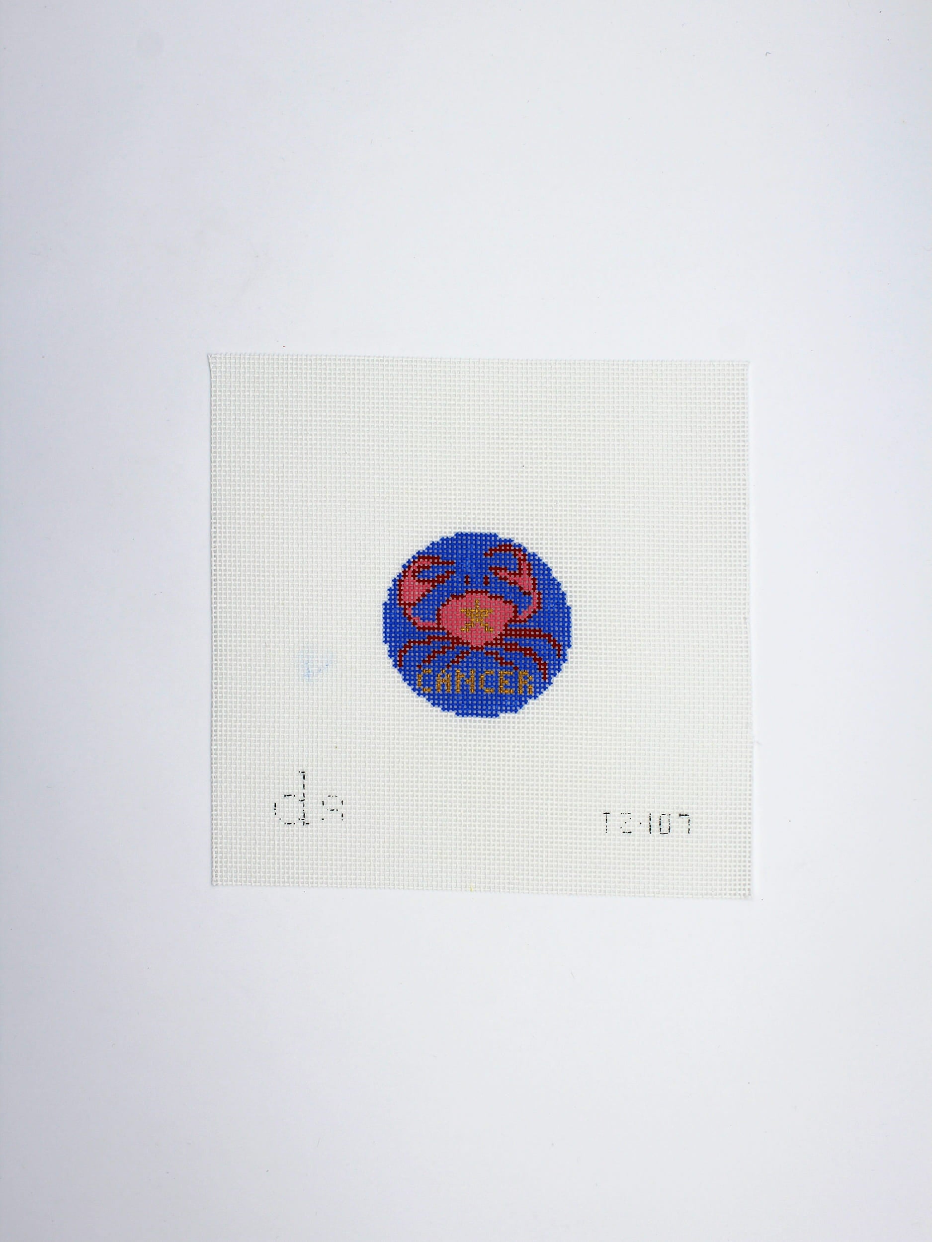 Cancer Tag Design Canvas