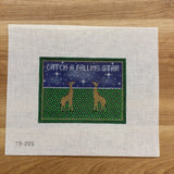 Catch A Falling Star Canvas 18 Mesh