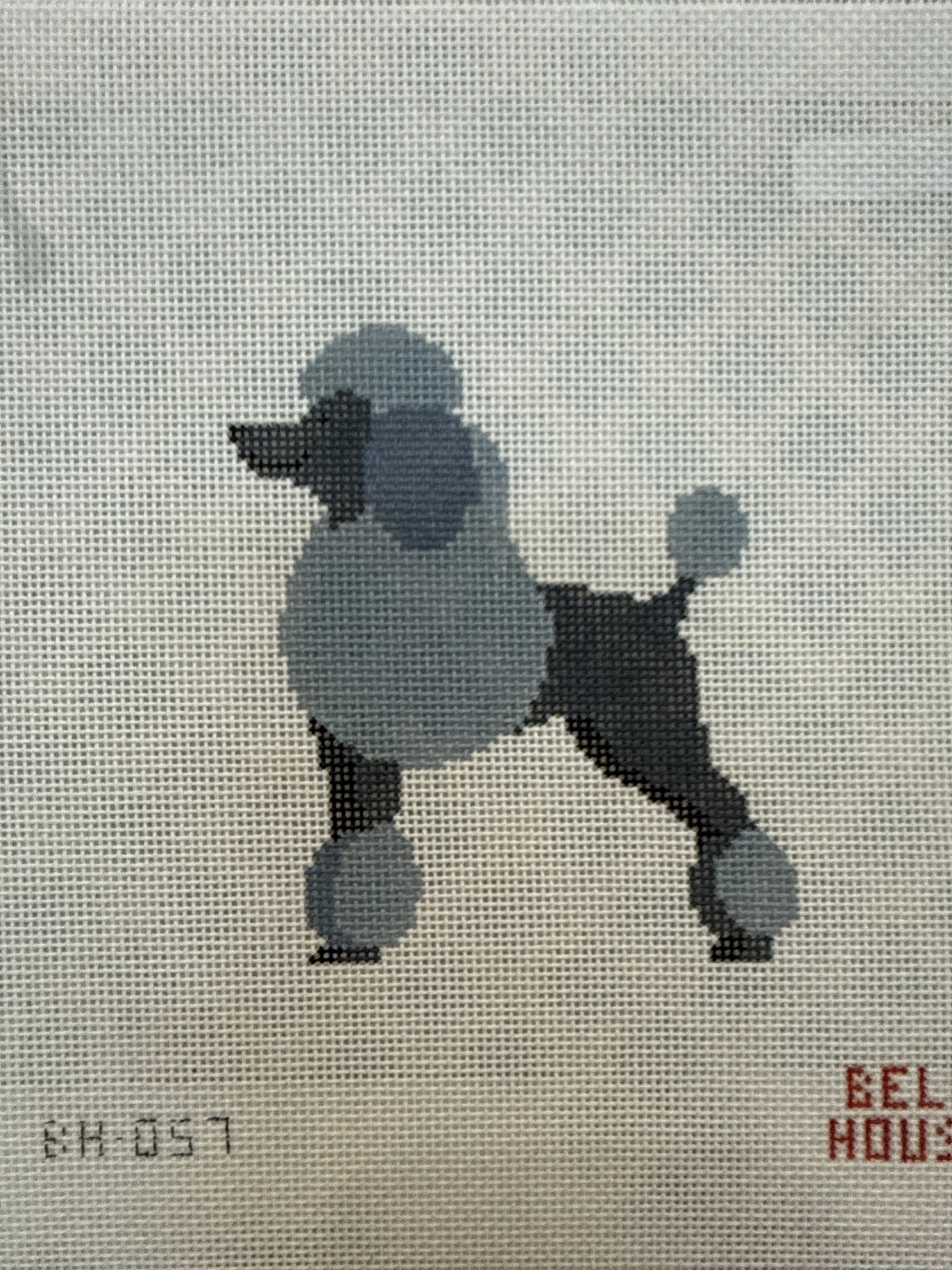 Poodle Canvas