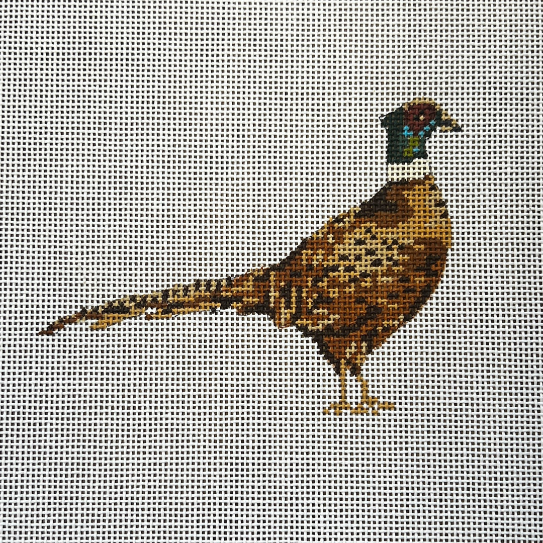 Pheasant Canvas