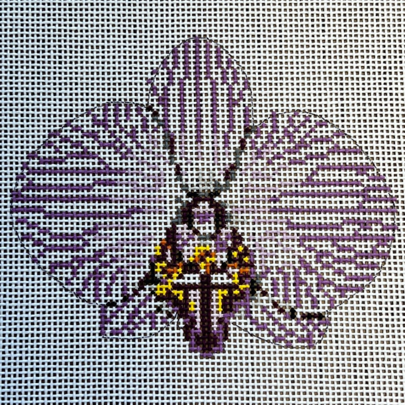 Single Purple Striped Orchid Canvas