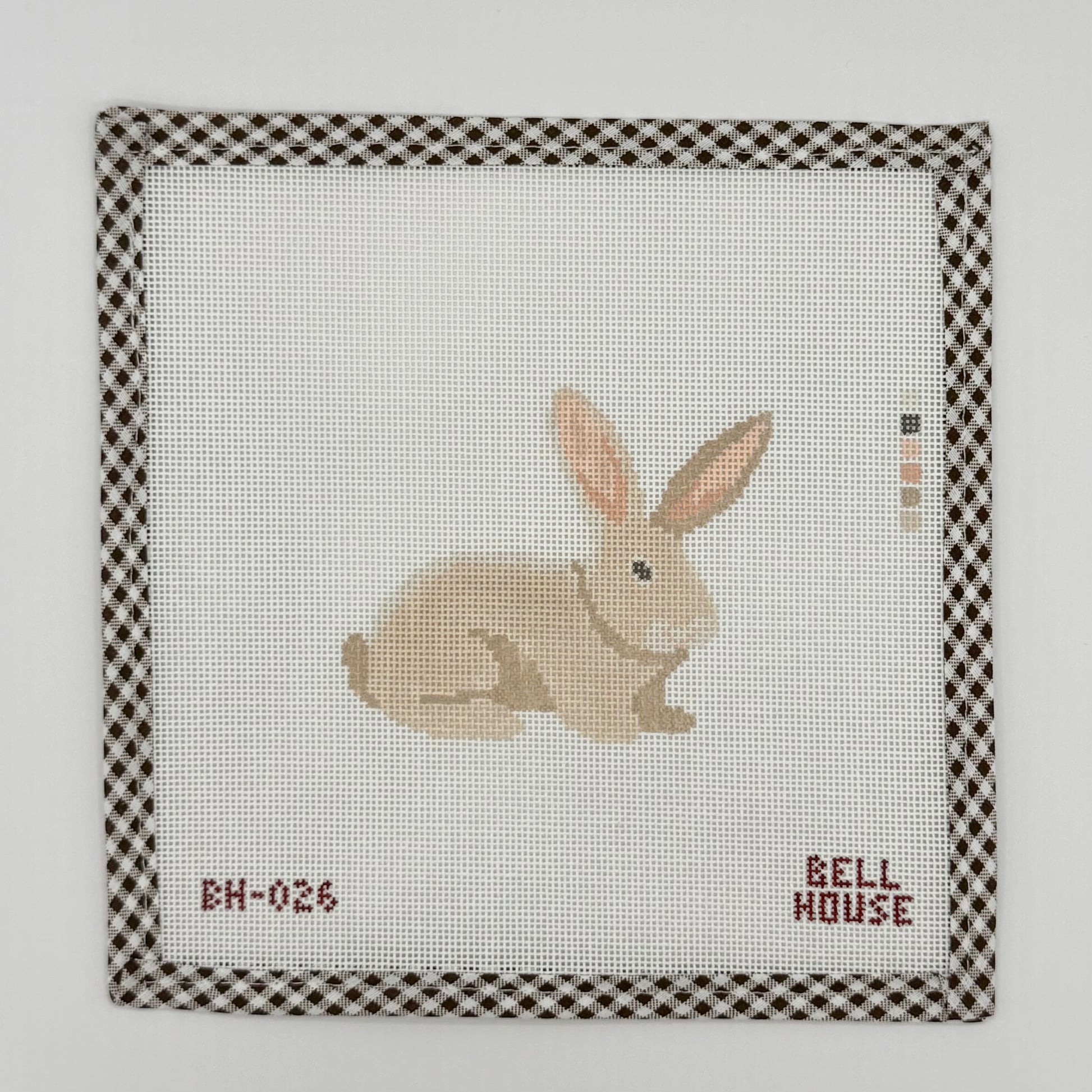 Bunny Canvas