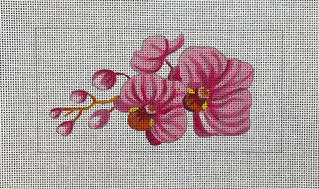 Pink Orchid Canvas