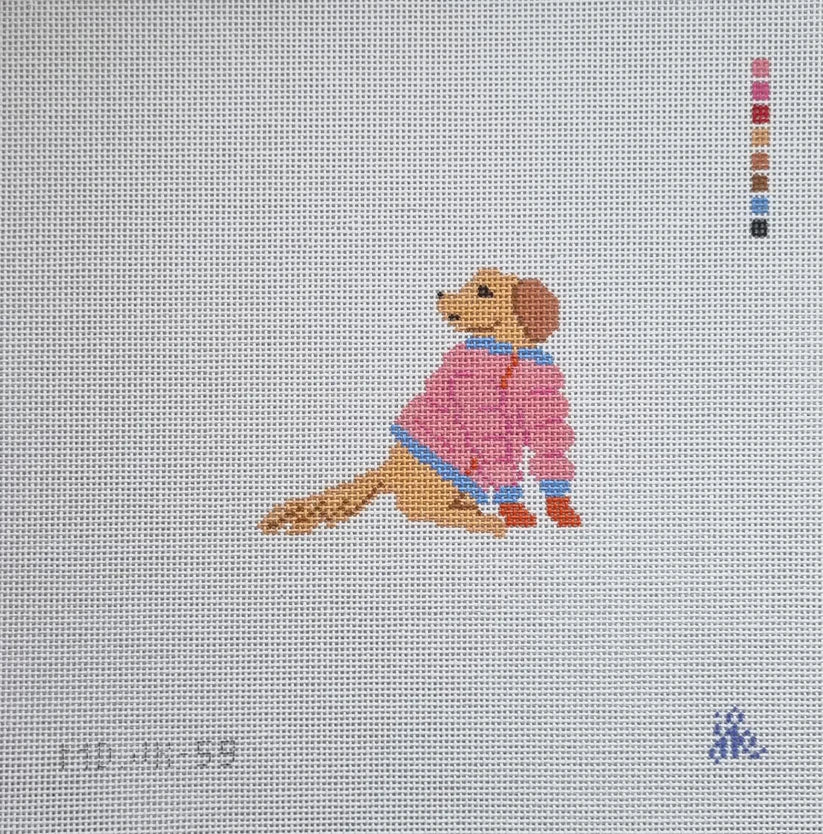 Golden in Jacket Canvas (Jenny Koland0