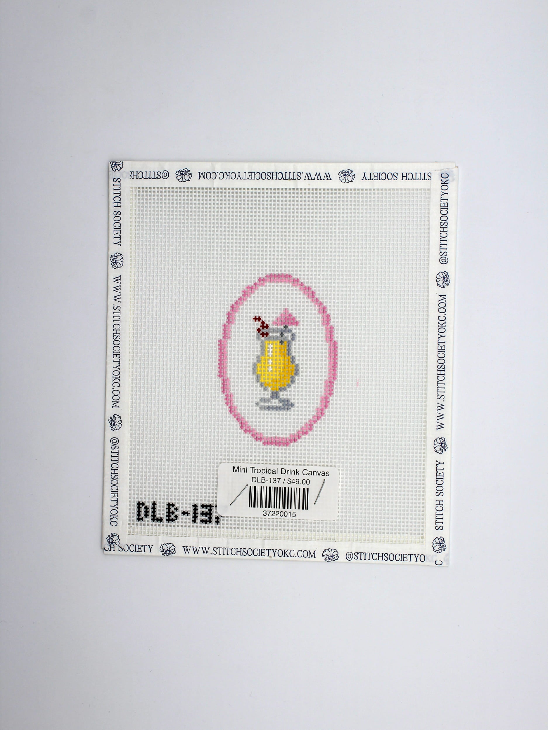 Mini Tropical Drink Canvas