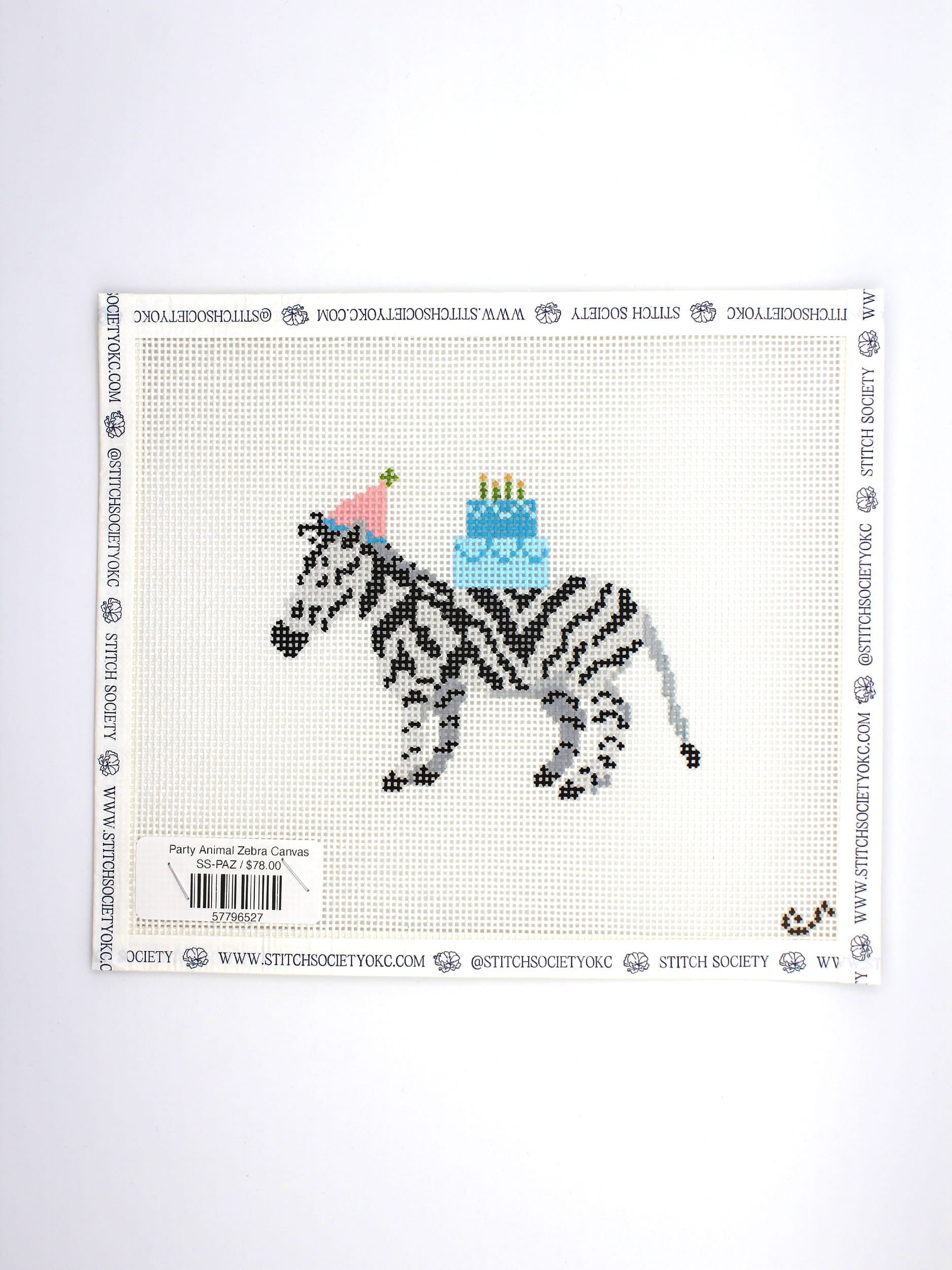 Party Animal Zebra Canvas