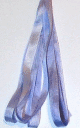 Hydrangea 4mm Ribbon