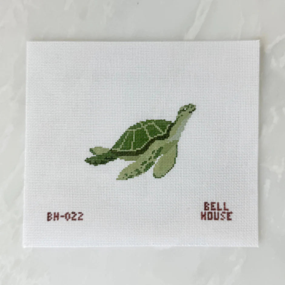 Sea Turtle Canvas