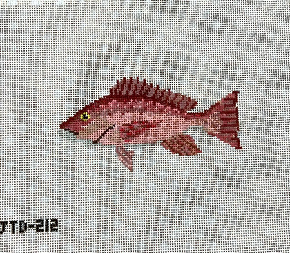 Snapper Canvas