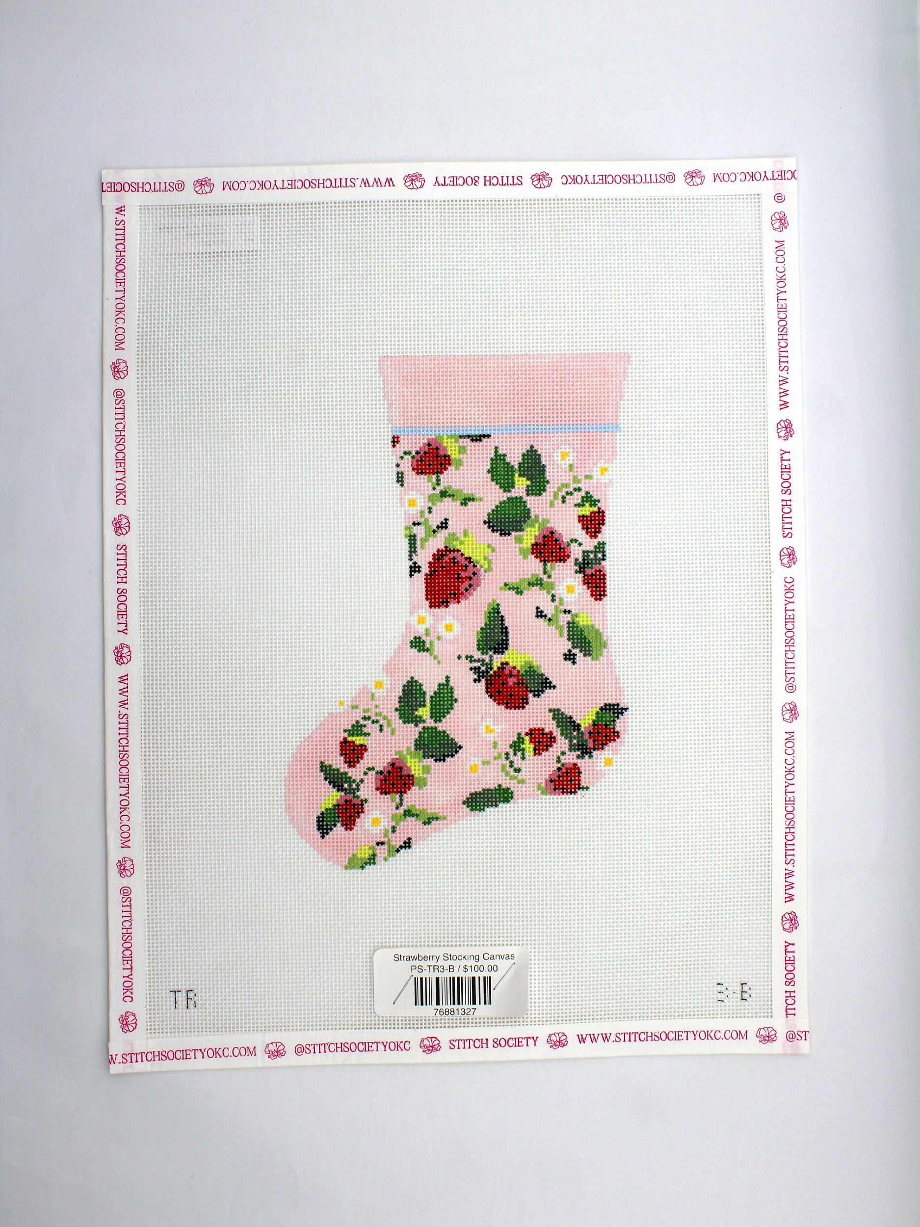 Strawberry Stocking Canvas