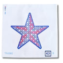 Red, White, Blue, and Green Star Printed Canvas