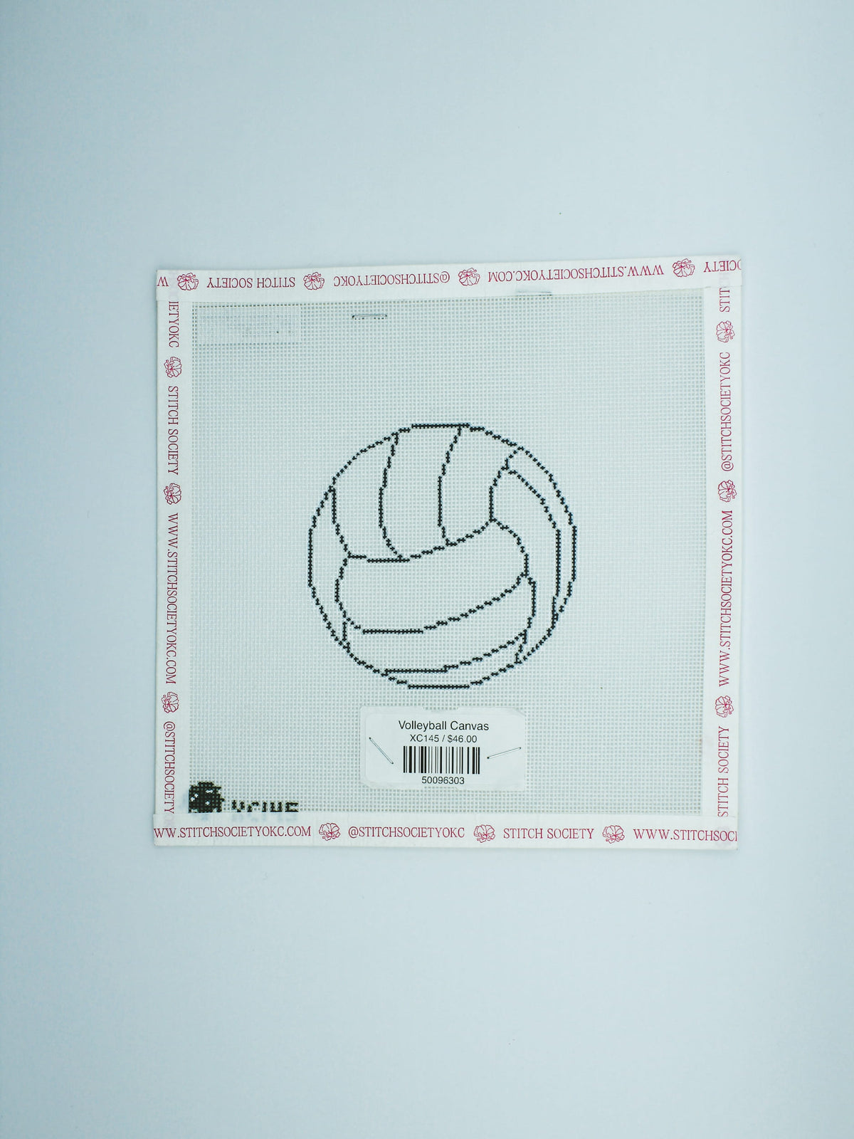 Volleyball Canvas