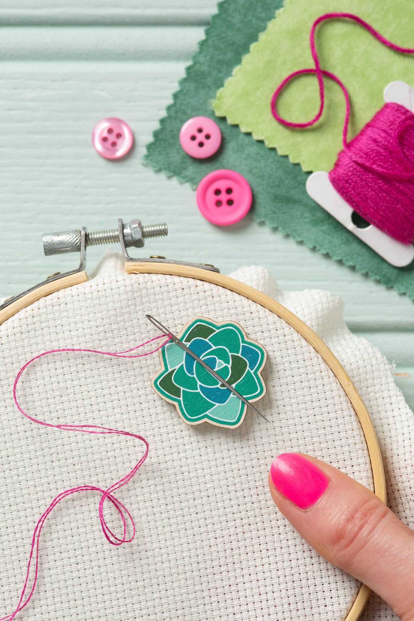 Succulent Magnetic Needle Minder