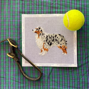 Australian Shepherd Canvas