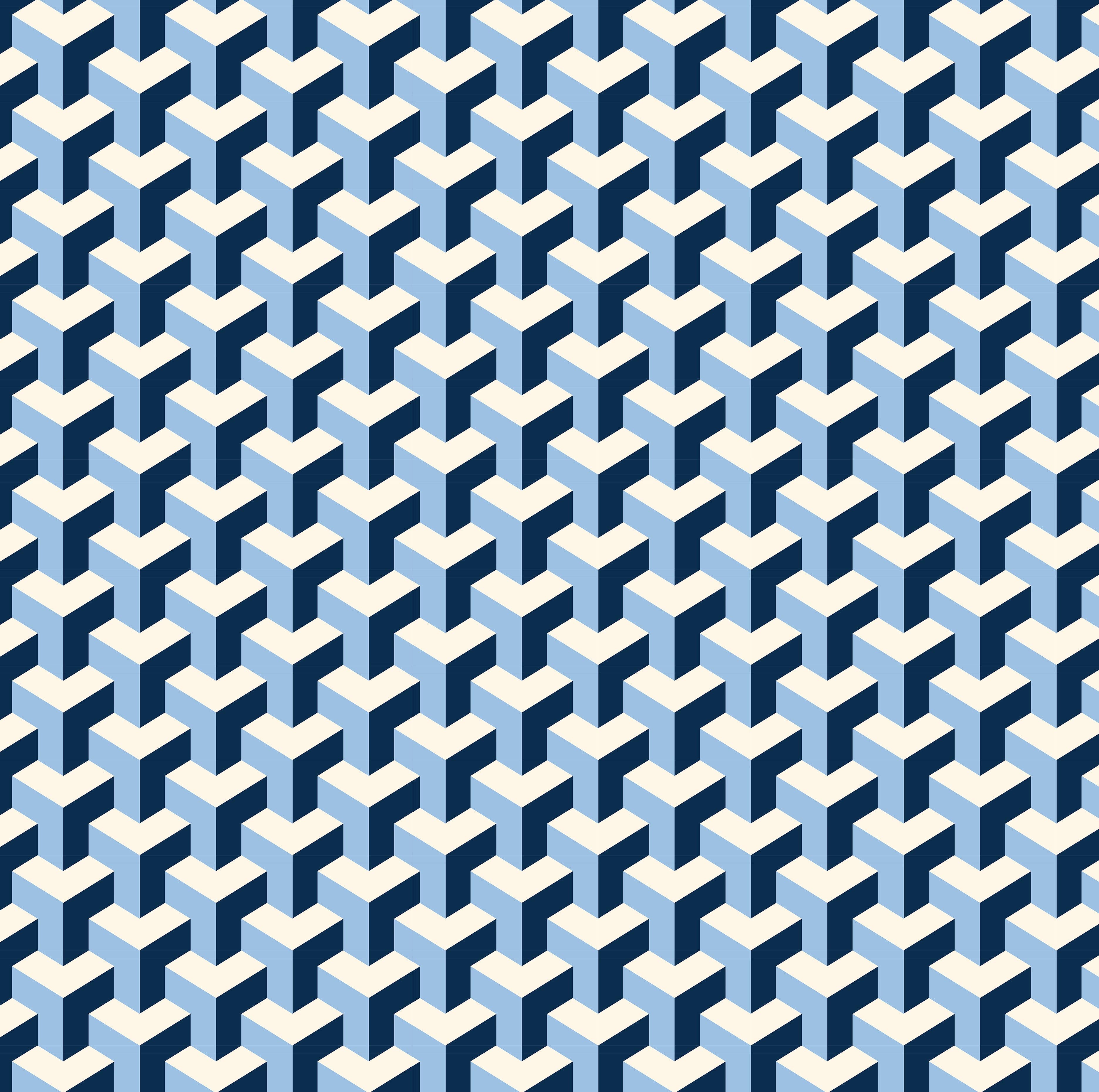 Pencil Case – Maze