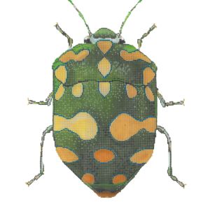 Little Bugs - Green & Yellow Canvas