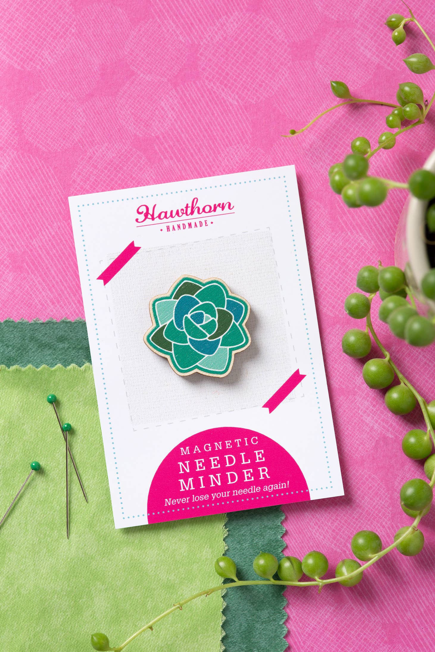 Succulent Magnetic Needle Minder