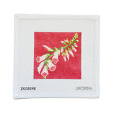 Foxglove Canvas