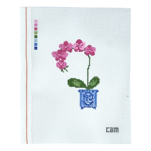Orchid Canvas