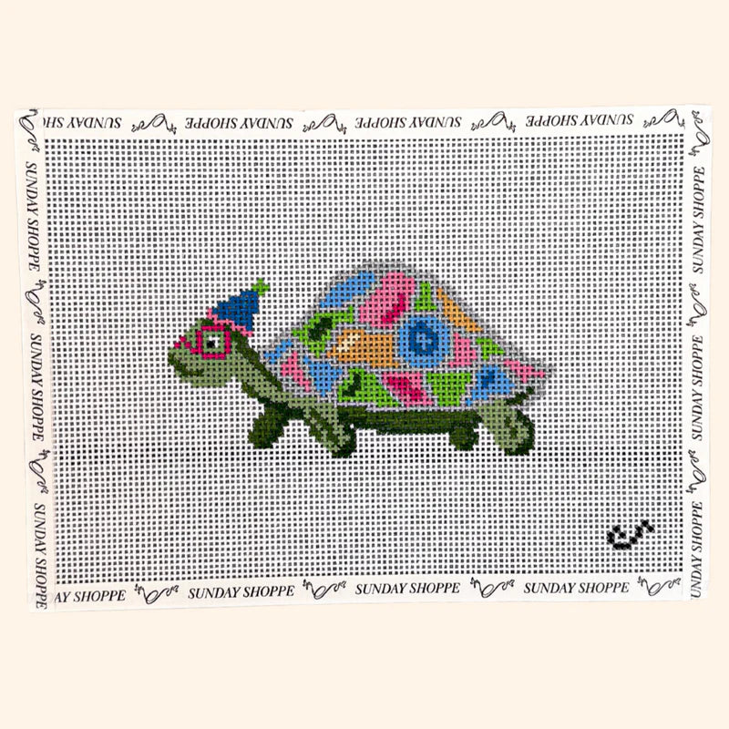 Party Animal Turtle Canvas