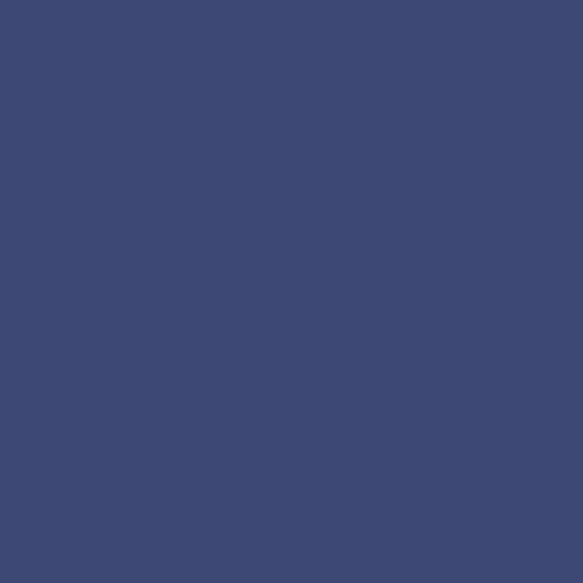 Clear Zip Pouch Bundle (x3 sizes) – Navy