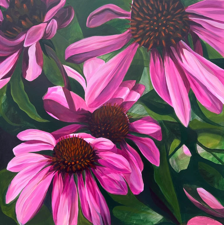 Pink Coneflowers