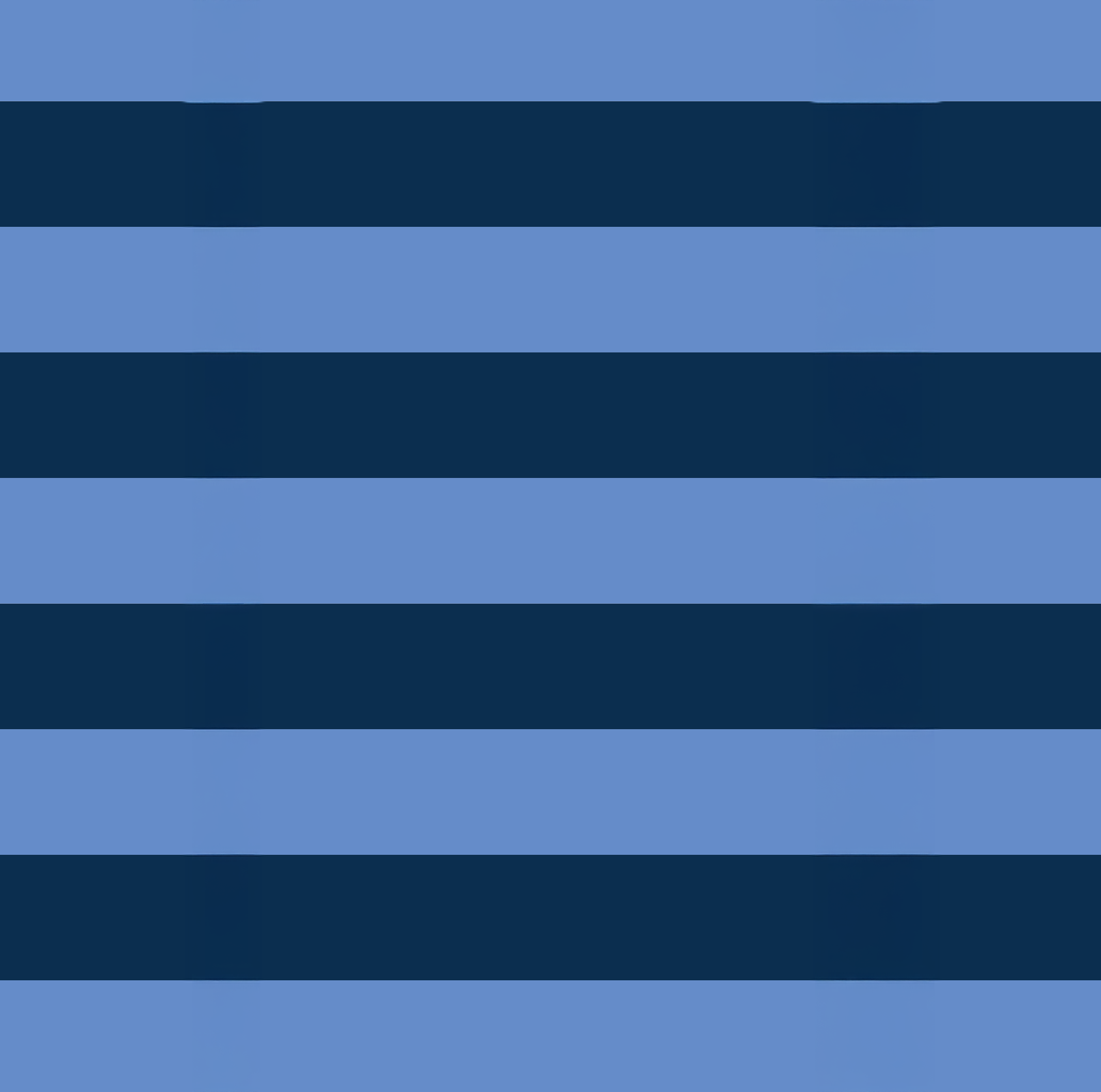 Large Zip Pouch – Blue Stripe