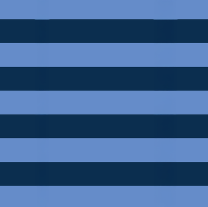 Large Zip Pouch – Blue Stripe
