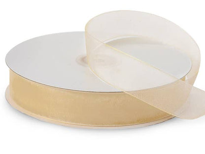 Sheer Organza Gift Packaging Ribbon: Light Blue / 1 Pack / 7/8"x100 yards