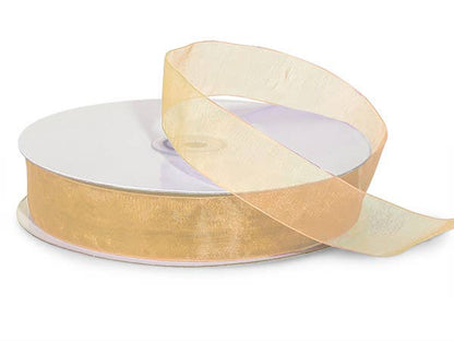 Sheer Organza Gift Packaging Ribbon: Light Blue / 1 Pack / 7/8"x100 yards