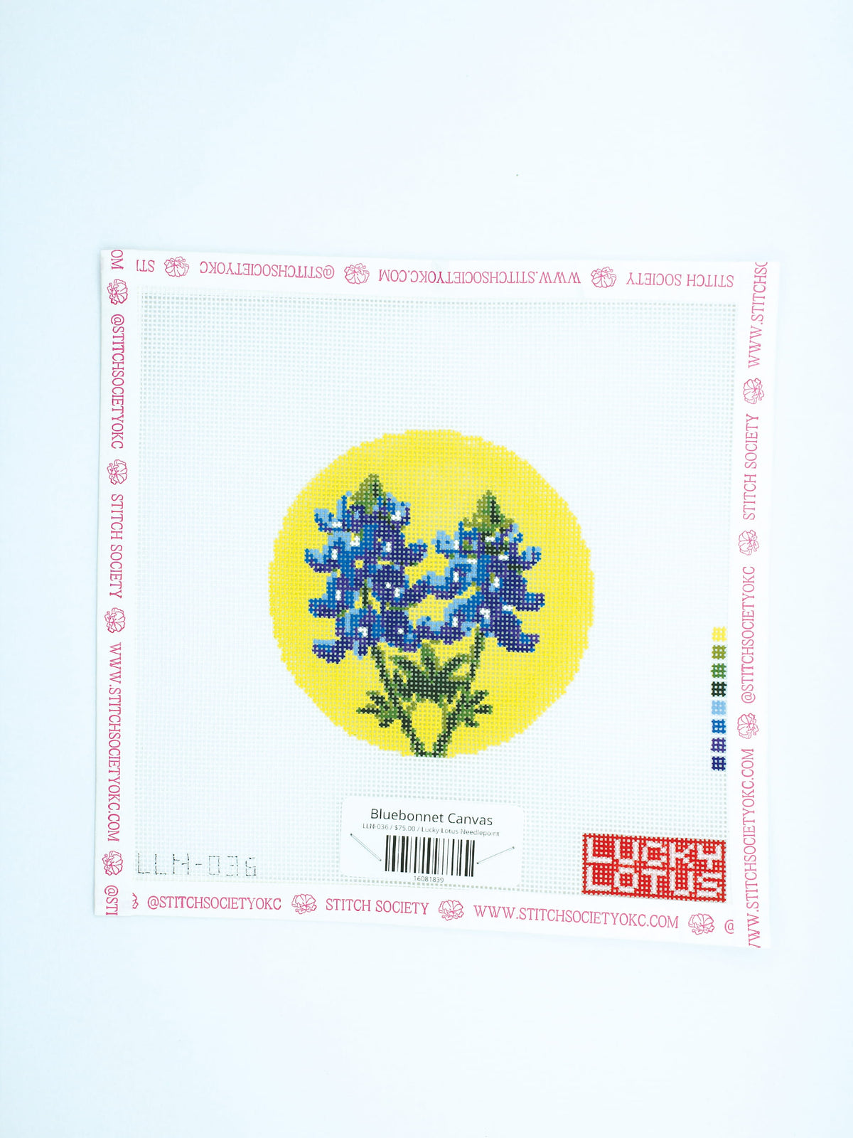 Bluebonnet Canvas