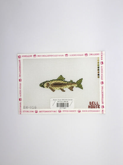 Brown Trout | BH-016 Canvas