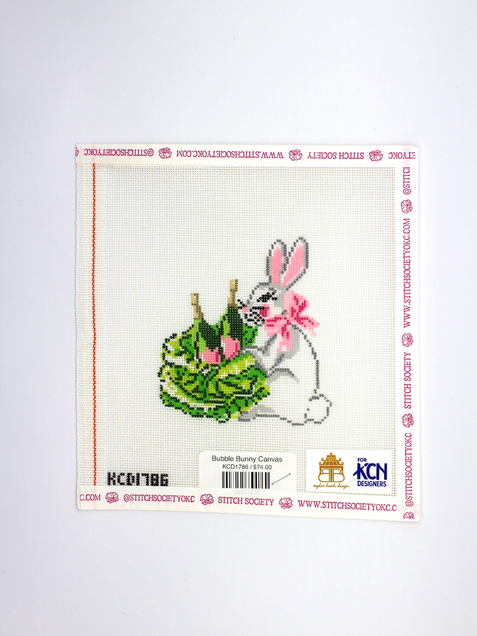 Bubble Bunny Canvas