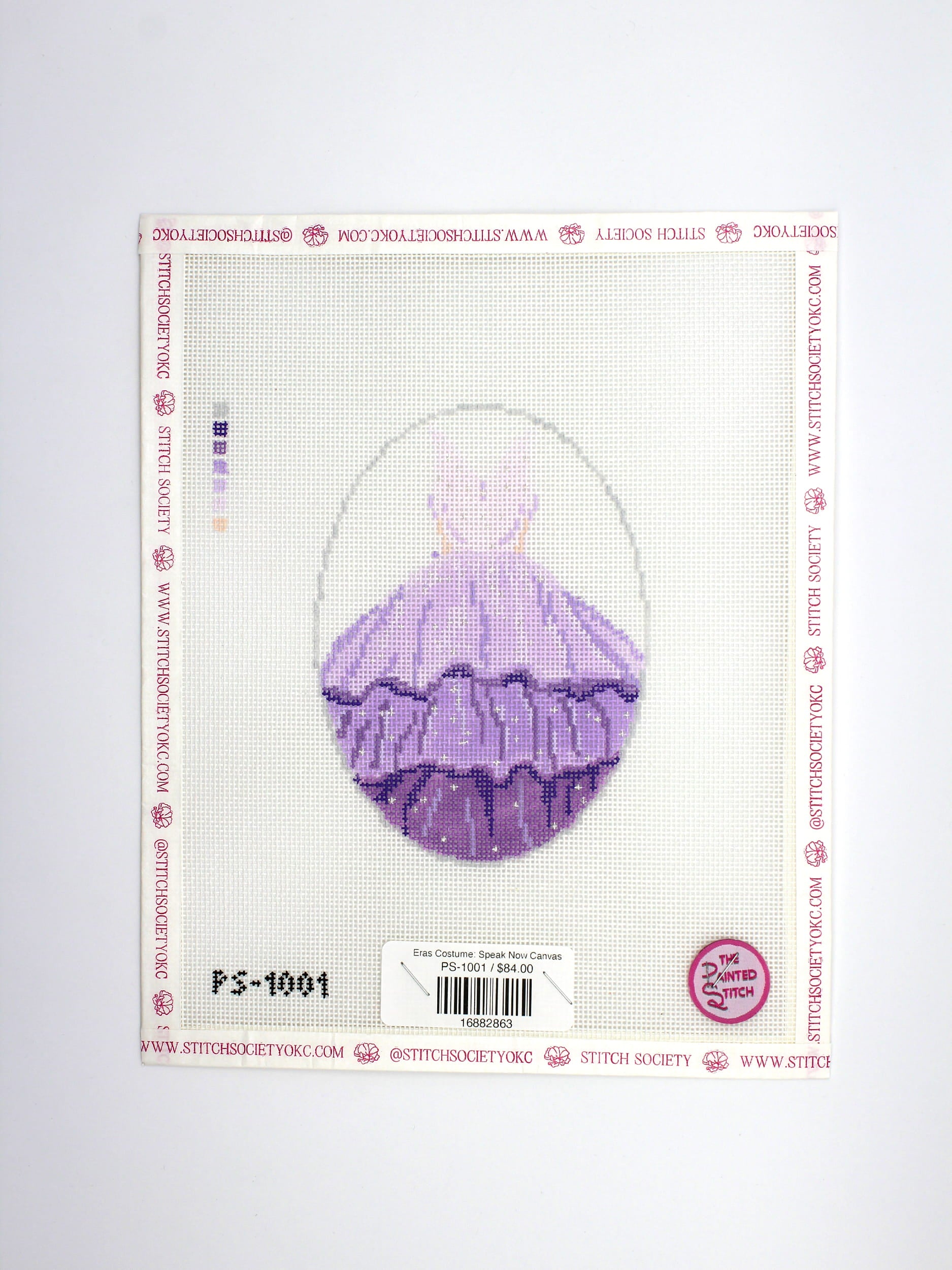 Eras Costume: Speak Now Canvas