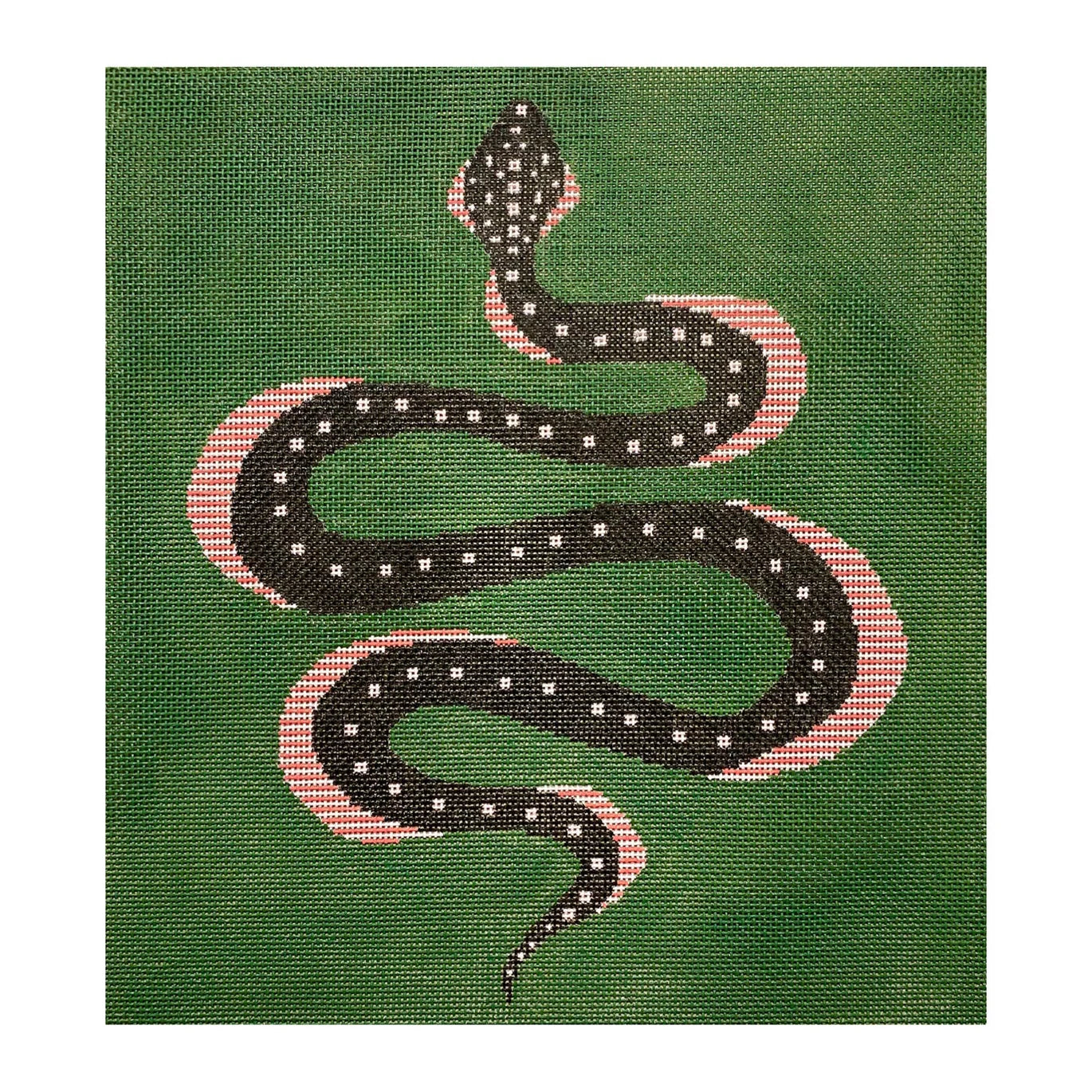 Honey Crisp Snake Canvas