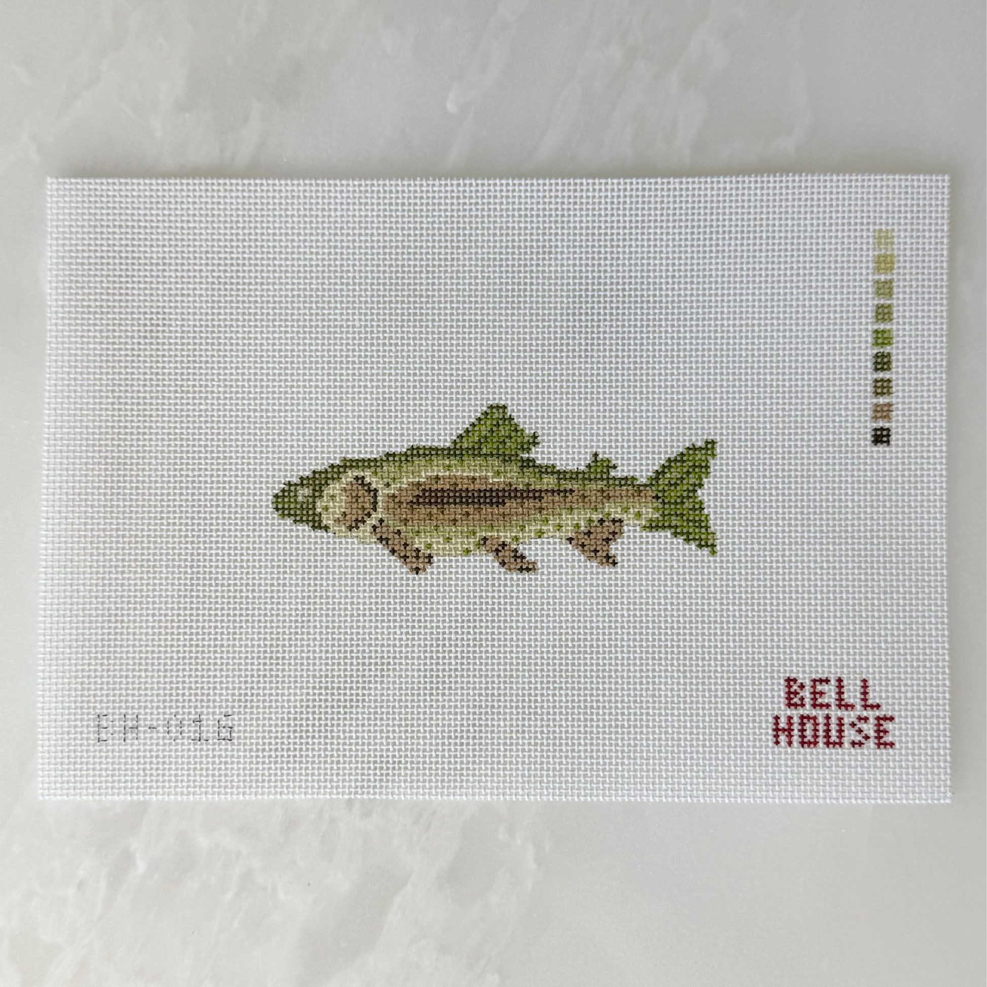 Brown Trout | BH-016 Canvas