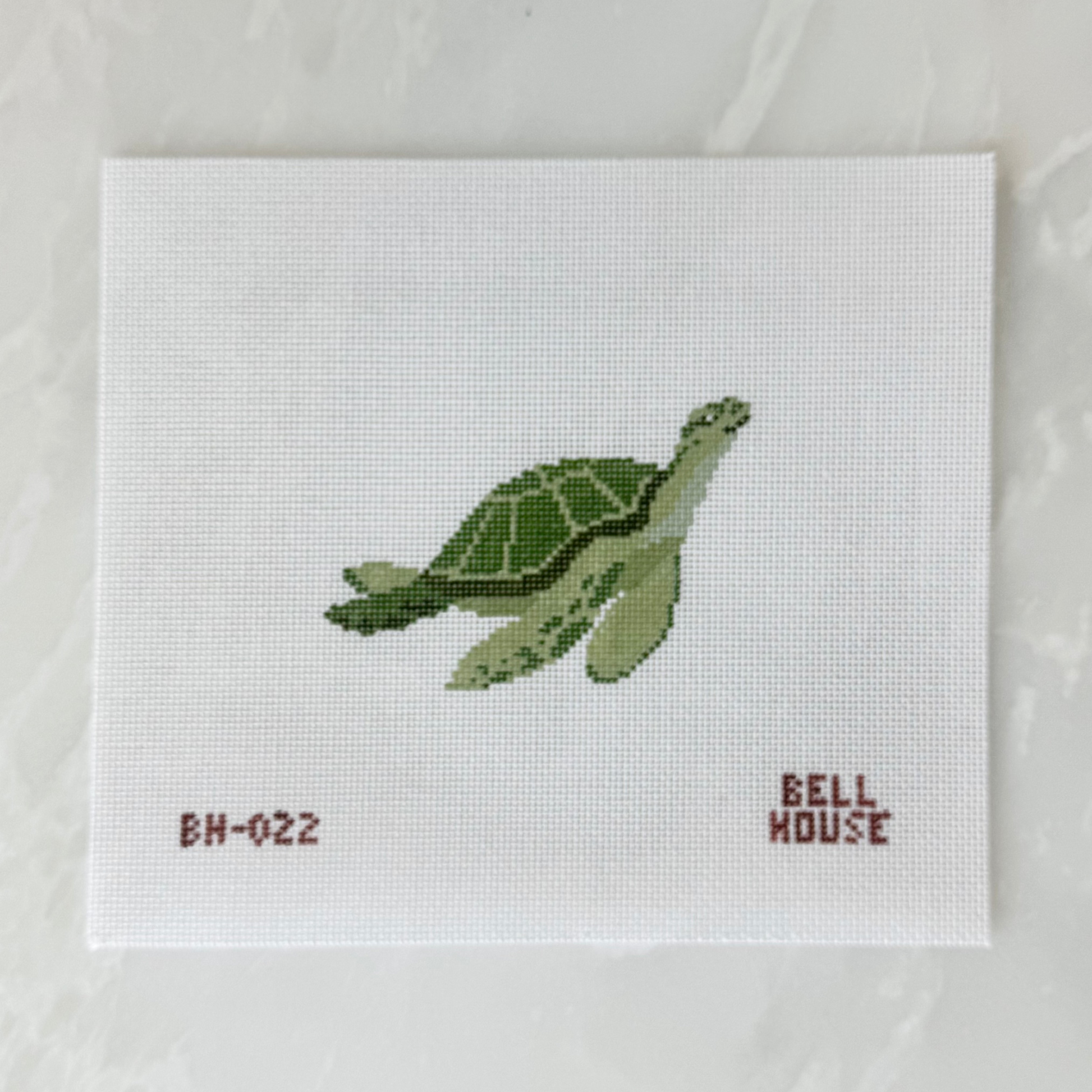 Sea Turtle | BH-022 Canvas