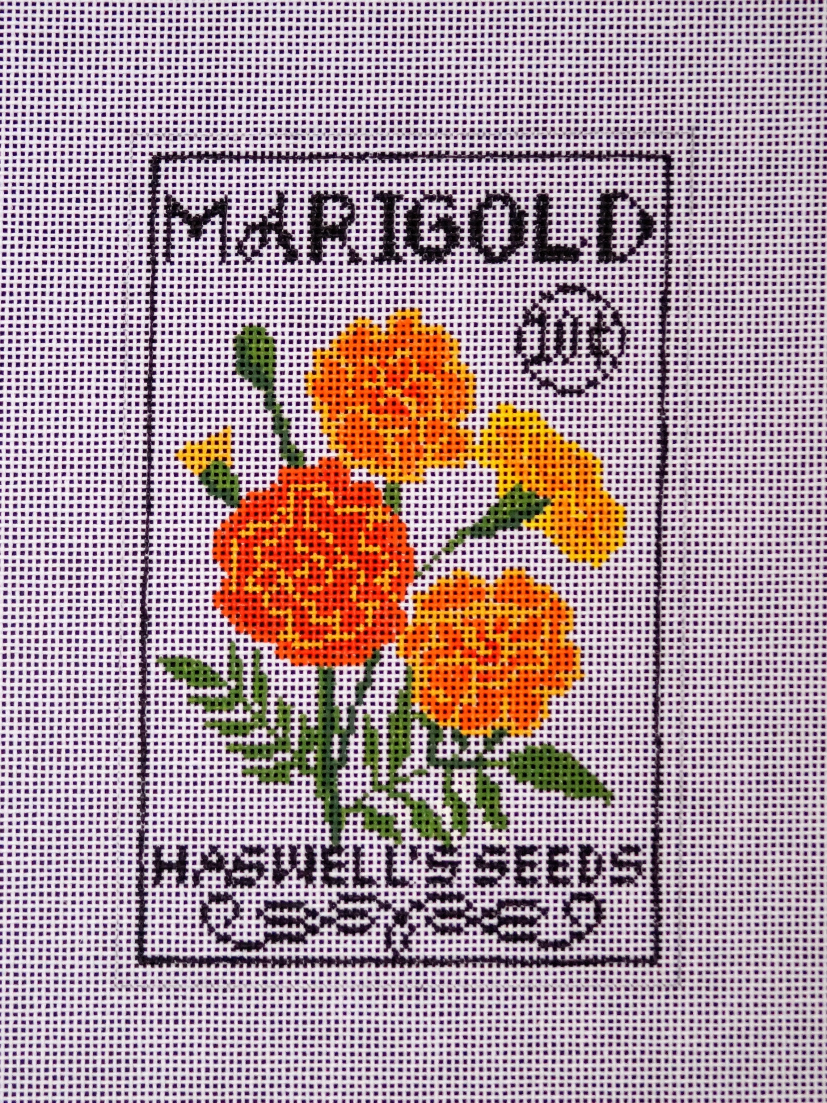 Marigold Seed Packet 18 Canvas
