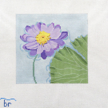 Kew Gardens - Water Lily Canvas